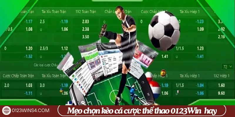 Mẹo Chơi Cá Cược Thể Thao 0123Win Hiệu Quả mẹo chọn kèo cá cược thể thao 0123Win